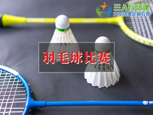 羽毛球比赛
