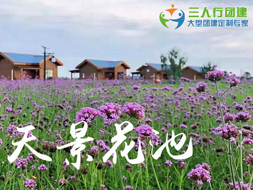 天景花池田园综合体