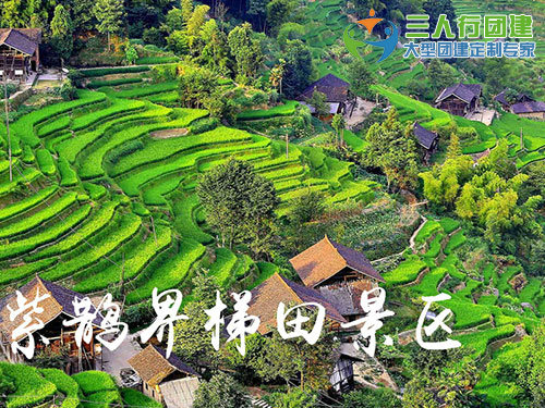 紫鹊界梯田景区
