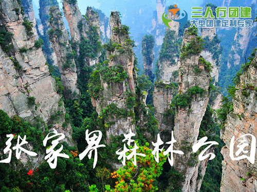 张家界森林公园