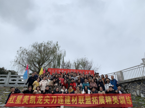客户案例