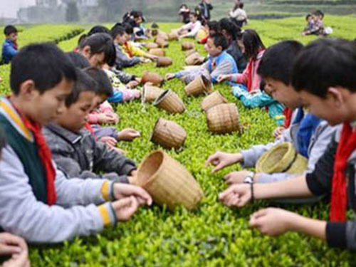 湖南三人行户外拓展有限公司,湖南体育活动的组织策划,湖南定制拓展培训,湖南趣味运动会 湖南三人行户外拓展有限公司,湖南体育活动的组织策划,湖南定制拓展培训,湖南趣味运动会